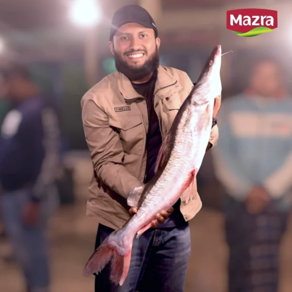A man holding a big ayre fish in bangladeshi market