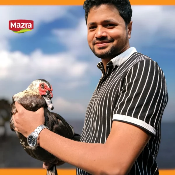 দেশি চীনা হাস – Deshi Chinahash (Local Chinese Duck)