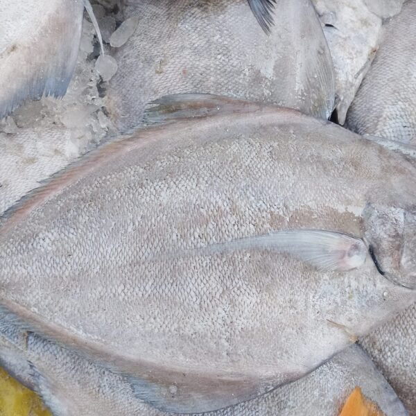 কালাচাঁদা – Kalachanda (1Kgs Size)