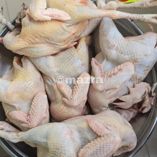 দেশি মুরগী – Deshi Murgi (Local Chicken)