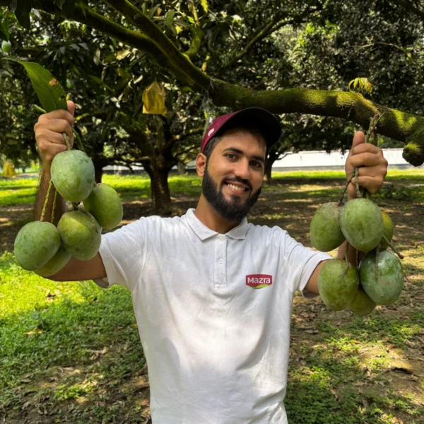 হিমসাগর আম ১২ কেজি (Himsagar Mango 12 KG)