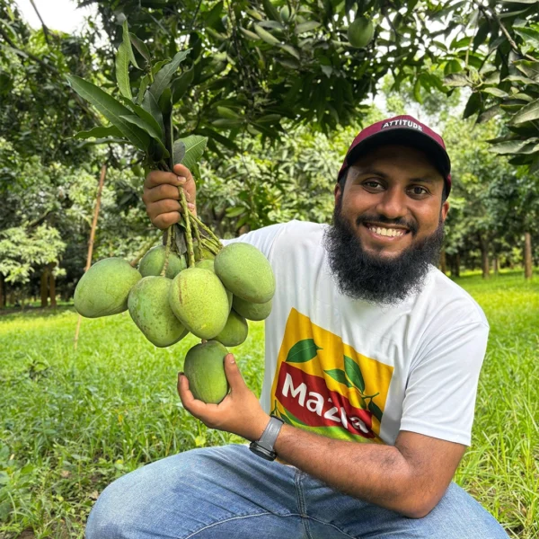 হিমসাগর আম ২২ কেজি (Himsagar Mango 22 KG)